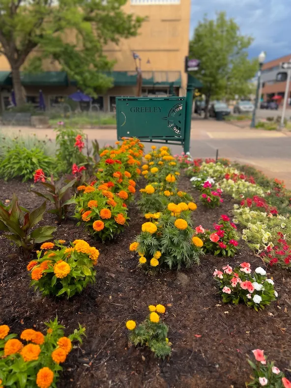 Empower Greeley